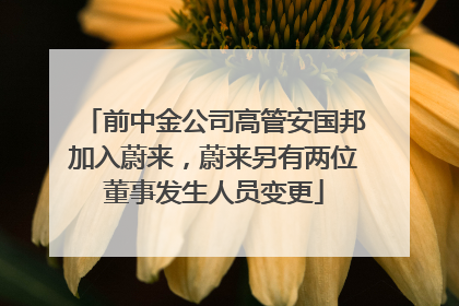 前中金公司高管安国邦加入蔚来，蔚来另有两位董事发生人员变更