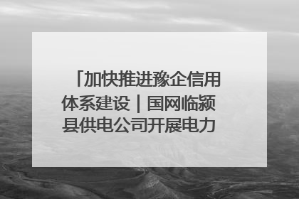 加快推进豫企信用体系建设｜国网临颍县供电公司开展电力行业信用企业现场咨询访谈工作