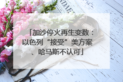 加沙停火再生变数：以色列“接受”美方案、哈马斯不认可