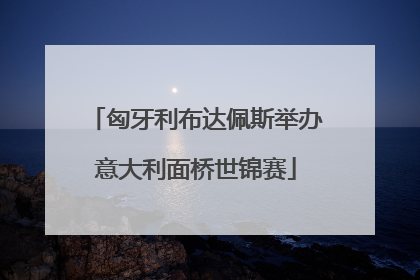 匈牙利布达佩斯举办意大利面桥世锦赛