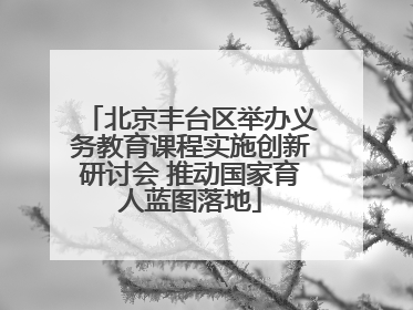 北京丰台区举办义务教育课程实施创新研讨会 推动国家育人蓝图落地