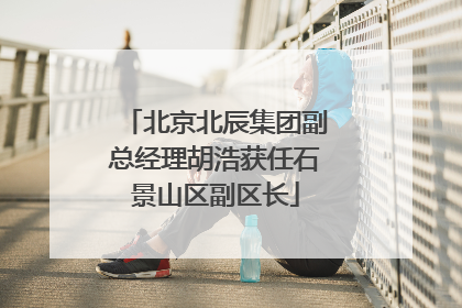 北京北辰集团副总经理胡浩获任石景山区副区长