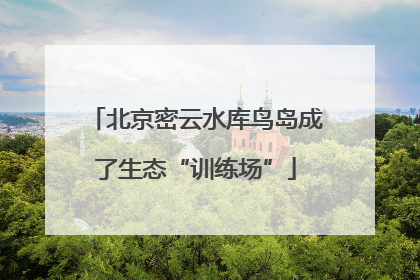 北京密云水库鸟岛成了生态“训练场”