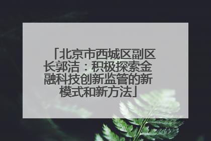 北京市西城区副区长郭洁：积极探索金融科技创新监管的新模式和新方法