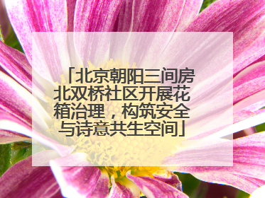 北京朝阳三间房北双桥社区开展花箱治理，构筑安全与诗意共生空间