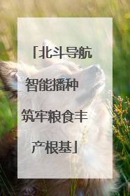 北斗导航智能播种 筑牢粮食丰产根基