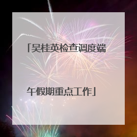 吴桂英检查调度端午假期重点工作