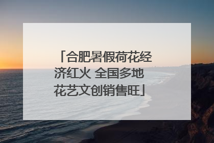 合肥暑假荷花经济红火 全国多地花艺文创销售旺