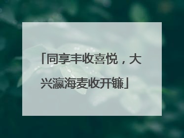 同享丰收喜悦，大兴瀛海麦收开镰