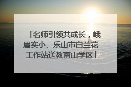 名师引领共成长，峨眉实小、乐山市白兰花工作站送教南山学区