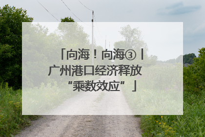 向海！向海③丨广州港口经济释放“乘数效应”