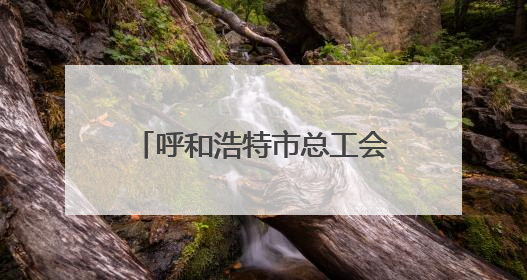 呼和浩特市总工会开展“工会促消费 会员享普惠”活动