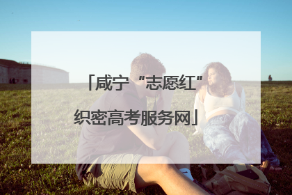 咸宁“志愿红”织密高考服务网