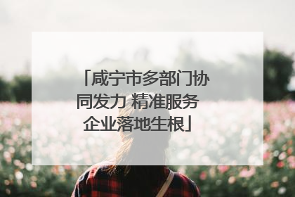 咸宁市多部门协同发力 精准服务企业落地生根