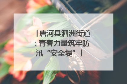 唐河县泗洲街道：青春力量筑牢防汛“安全堤”