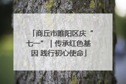 商丘市睢阳区庆“七一”｜传承红色基因 践行初心使命