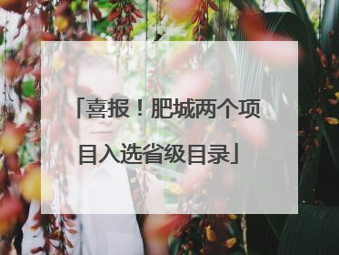 喜报！肥城两个项目入选省级目录