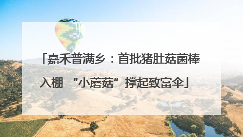 嘉禾普满乡：首批猪肚菇菌棒入棚 “小蘑菇”撑起致富伞