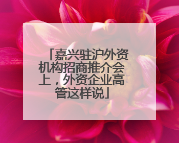嘉兴驻沪外资机构招商推介会上，外资企业高管这样说
