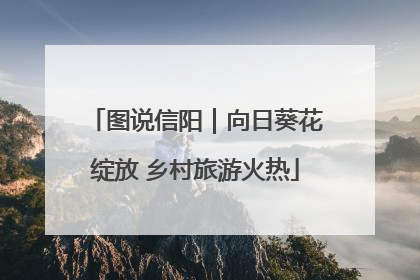 图说信阳｜向日葵花绽放 乡村旅游火热