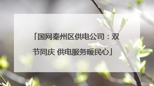 国网秦州区供电公司：双节同庆 供电服务暖民心
