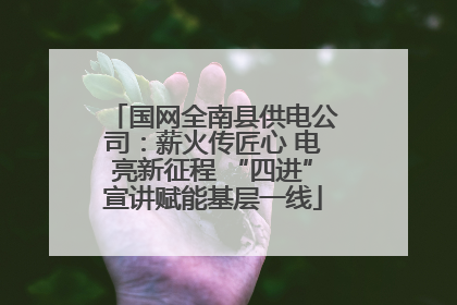 国网全南县供电公司：薪火传匠心 电亮新征程 “四进”宣讲赋能基层一线