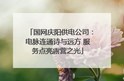 国网庆阳供电公司：电脉连通诗与远方 服务点亮露营之光