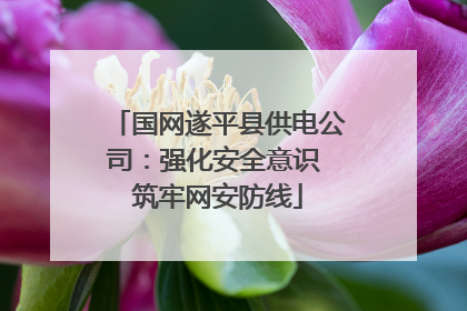 国网遂平县供电公司：强化安全意识 筑牢网安防线