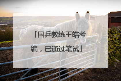 国乒教练王皓考编，已通过笔试