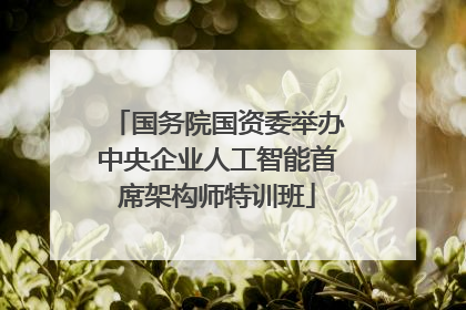 国务院国资委举办中央企业人工智能首席架构师特训班