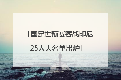 国足世预赛客战印尼25人大名单出炉