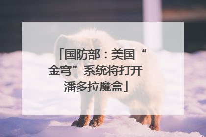 国防部：美国“金穹”系统将打开潘多拉魔盒