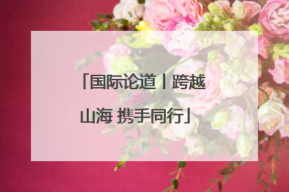 国际论道丨跨越山海 携手同行