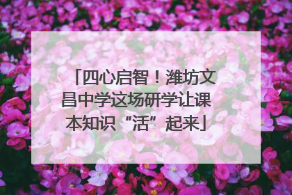 四心启智！潍坊文昌中学这场研学让课本知识“活”起来