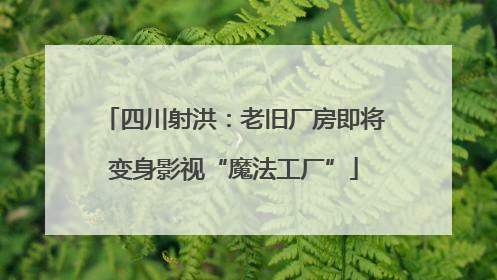 四川射洪：老旧厂房即将变身影视“魔法工厂”