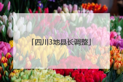 四川3地县长调整