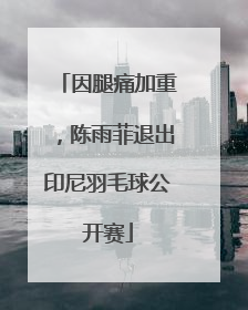 因腿痛加重，陈雨菲退出印尼羽毛球公开赛