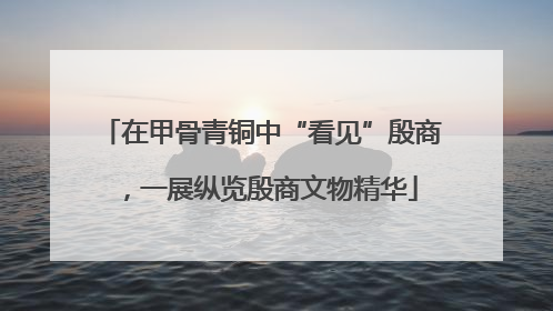 在甲骨青铜中“看见”殷商，一展纵览殷商文物精华