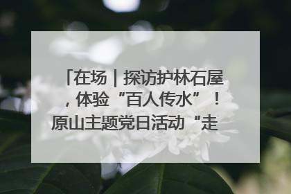 在场｜探访护林石屋，体验“百人传水”！原山主题党日活动“走新”更“走心”