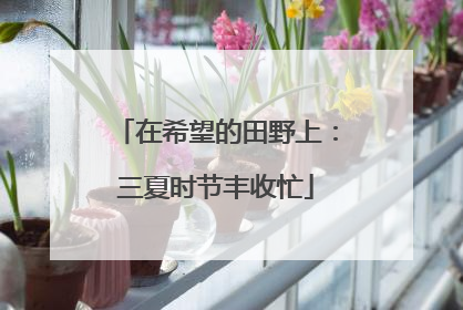 在希望的田野上：三夏时节丰收忙