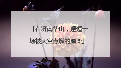 在济南华山，邂逅一场被天空点燃的温柔