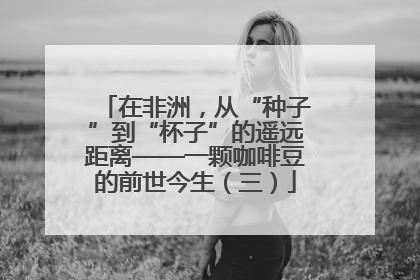 在非洲，从“种子”到“杯子”的遥远距离——一颗咖啡豆的前世今生（三）
