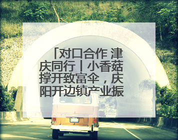 对口合作 津庆同行丨小香菇撑开致富伞，庆阳开边镇产业振兴有“蘑”力