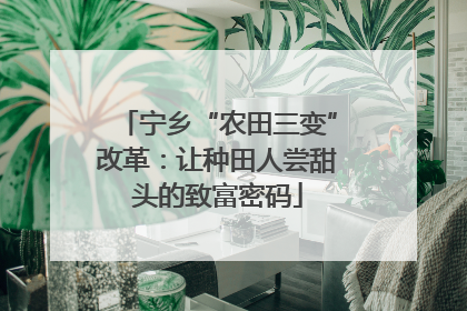 宁乡“农田三变”改革：让种田人尝甜头的致富密码