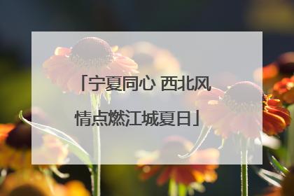 宁夏同心 西北风情点燃江城夏日