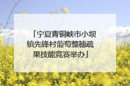 宁夏青铜峡市小坝镇先锋村葡萄整穗疏果技能竞赛举办