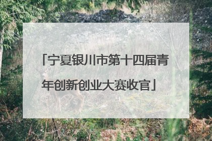 宁夏银川市第十四届青年创新创业大赛收官