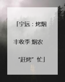 宁远：烤烟丰收季 烟农“赶烤”忙
