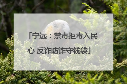 宁远：禁毒拒毒入民心 反诈防诈守钱袋