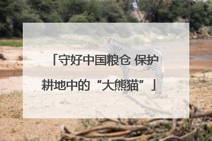 守好中国粮仓 保护耕地中的“大熊猫”